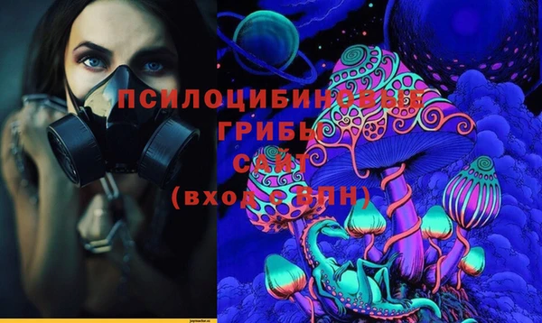 соль ск Алзамай