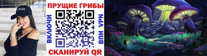 где продают   Почеп  Галлюциногенные грибы GOLDEN TEACHER 